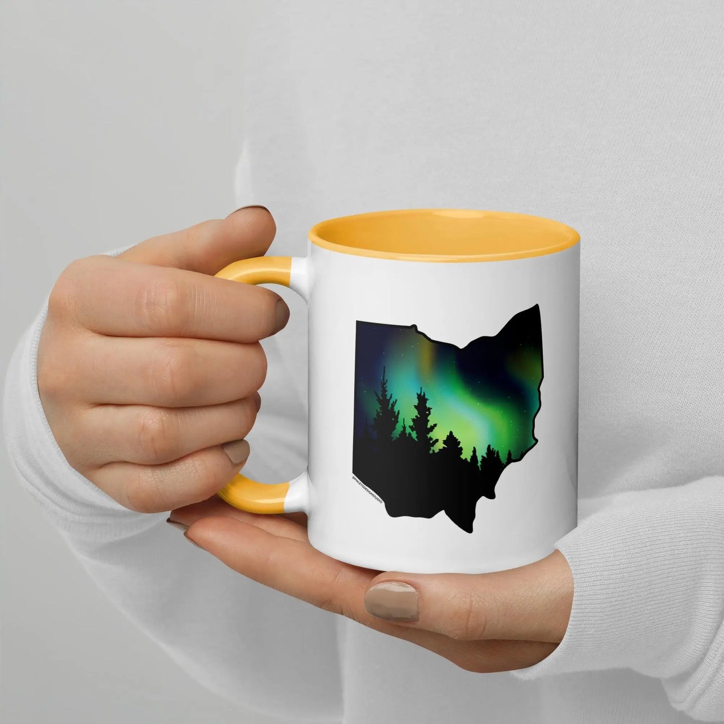 Ohio Northern Lights Mug North Owl Apparel