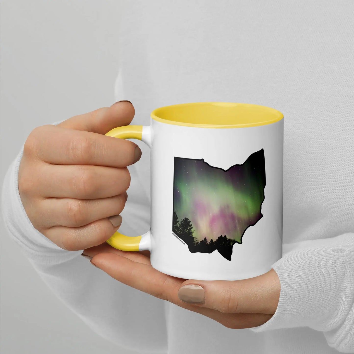 Ohio State Shape Northern Lights Mug North Owl Apparel